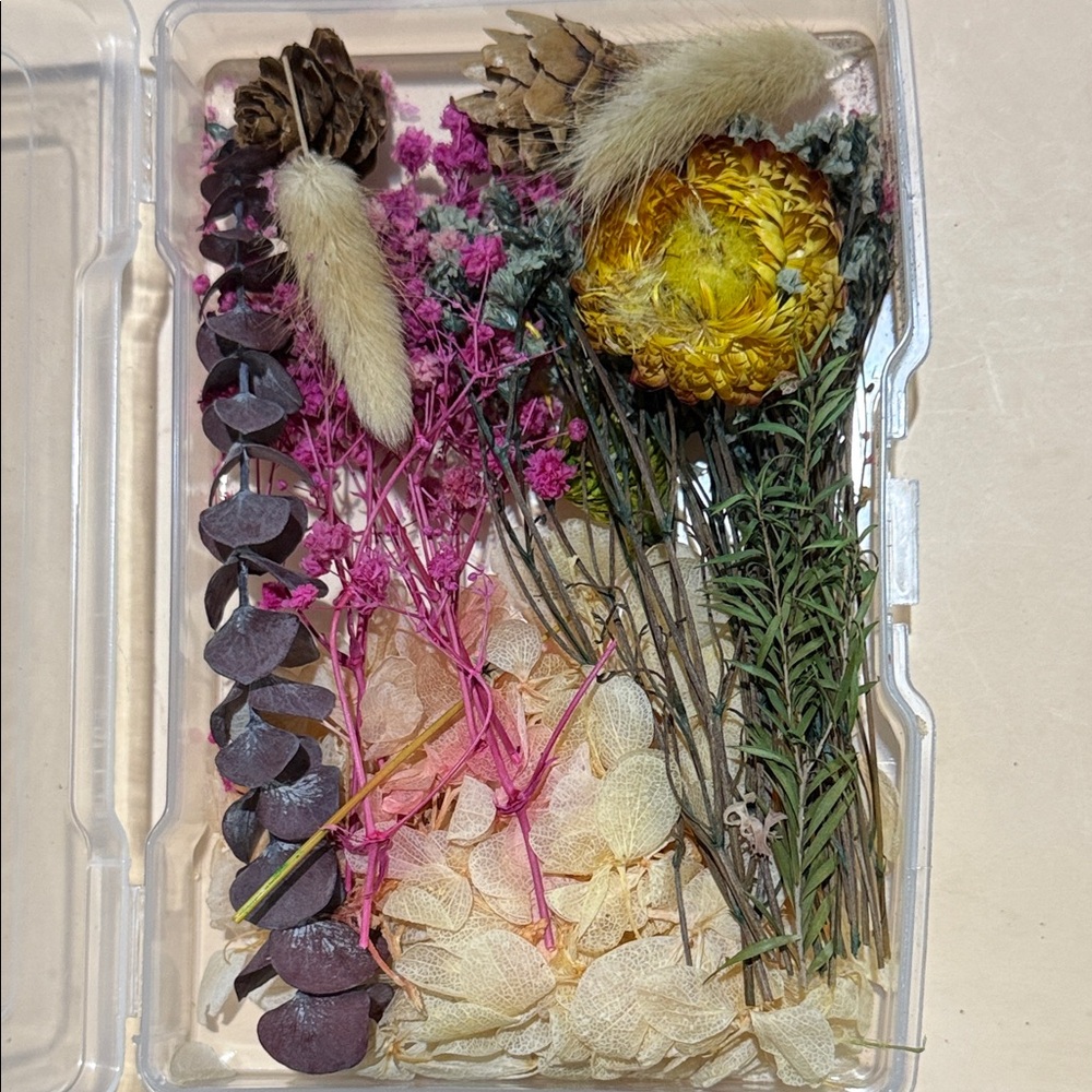 Dried Flower Assortment - Pink, Yellow & Cream Mix